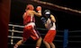 1206 Boxing as a Sport