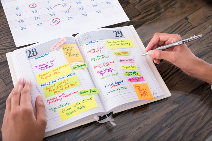 plan our day