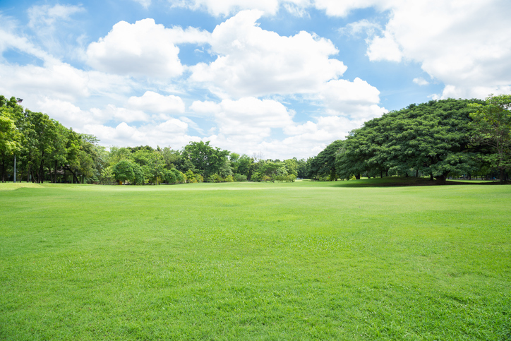 big park